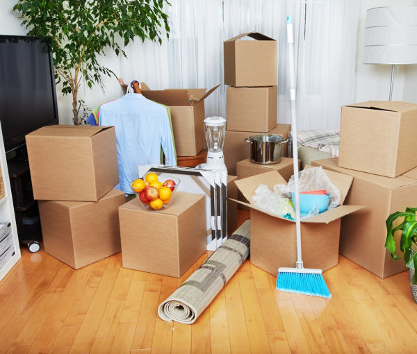 MOve in out