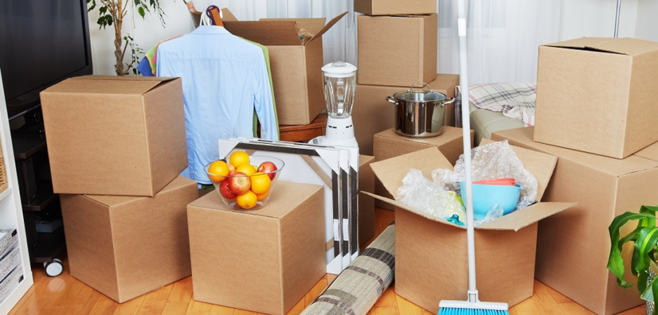 MOve in out
